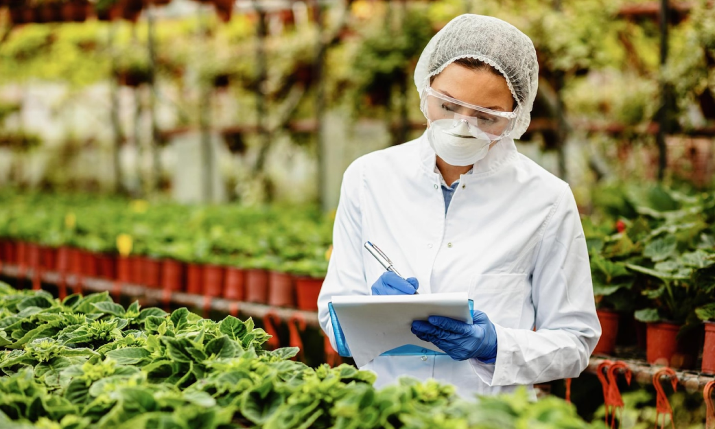 Formación de Auditor Interno ISO 22000-2018 Sistema de Gestión de Inocuidad Alimentaria Formación de Auditor Interno ISO 22000-2018 Sistema de Gestión de Inocuidad Alimentaria
